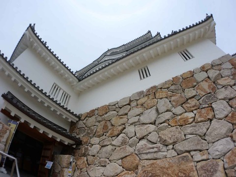 20240602尼崎城 (12)