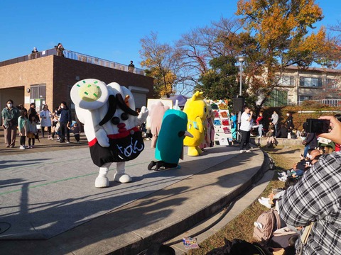 20221127はにコット (81)