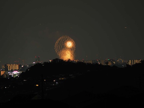 20220827なにわ淀川花火 (174)