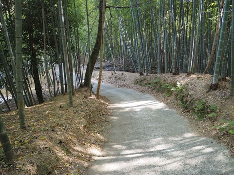 20230401梶原トンネル東坑口 (6)