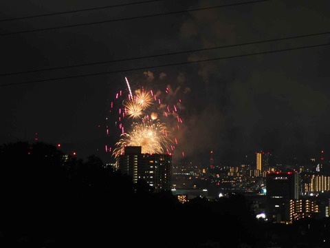 20220904くらわんか花火 (270)