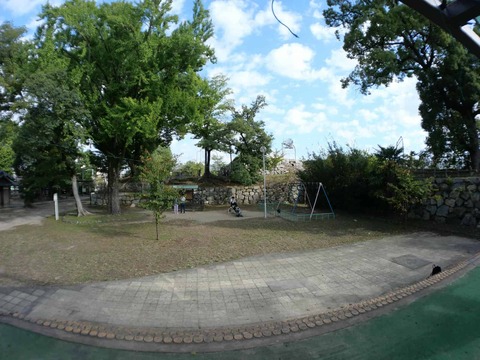 20241104淀城 (53)