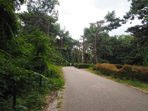 20221022万博記念公園 (12)