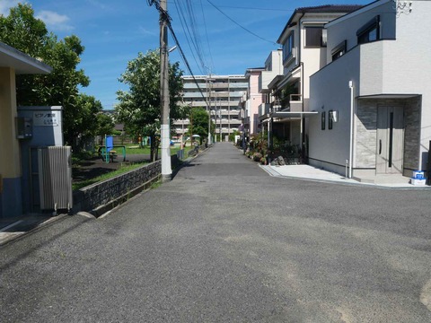 20240707西真上 (1)