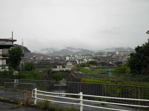 20250509ポンポン山 (6)
