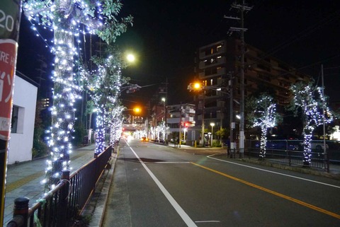 20201202simamoto6