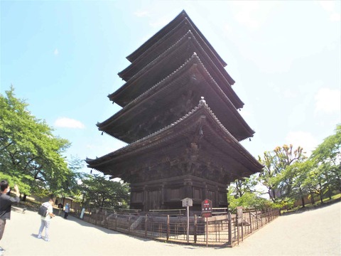 20230616東寺 (21)