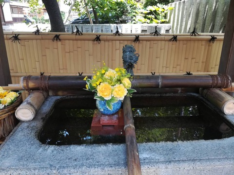 20220619野見神社 (5)