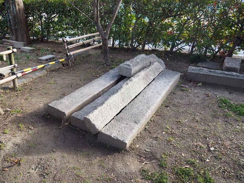 20200130高槻城公園梅 (6)