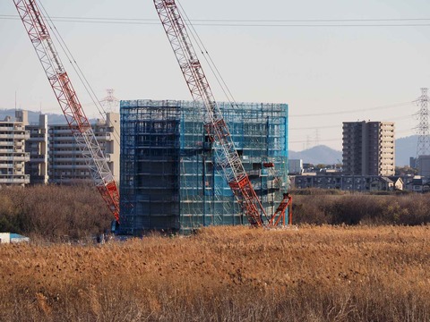 20240114上牧橋脚 (5)