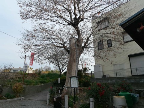 20241230阿久刀神社 (4)