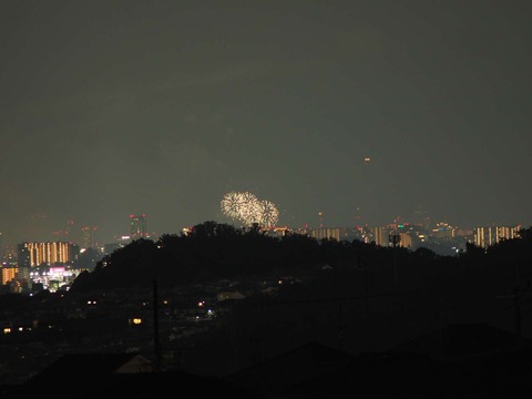 20220827なにわ淀川花火 (37)