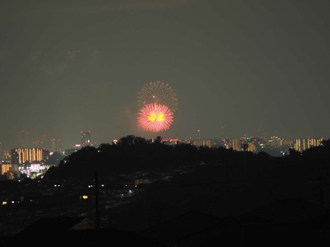 20220827なにわ淀川花火 (80)
