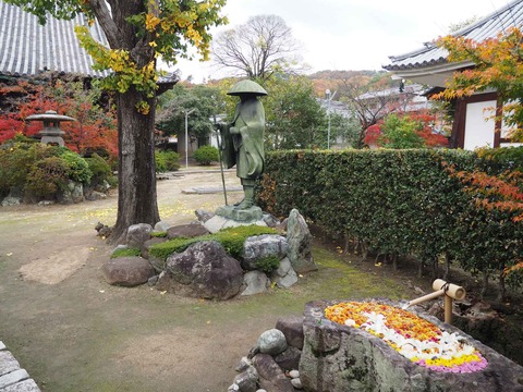 20221126 浄誓寺 (6)