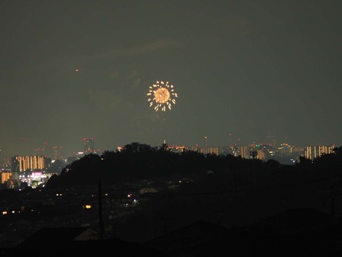 20220827なにわ淀川花火 (38)