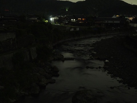 20230521ホタル (16)