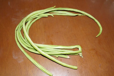 syokuzai22_2