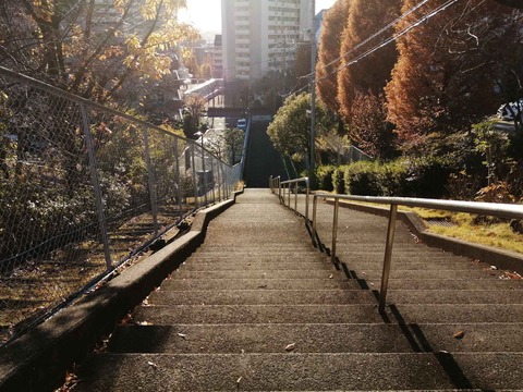 20211127abuyama_kaidan (1)