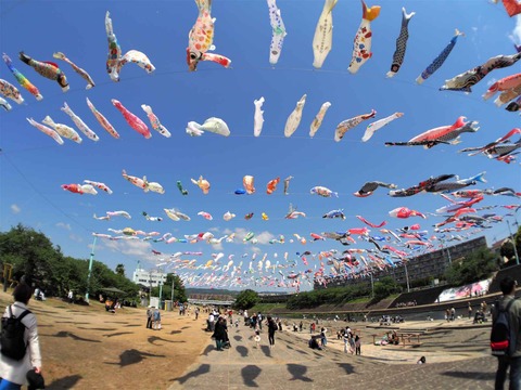 20230502こいのぼり (13)