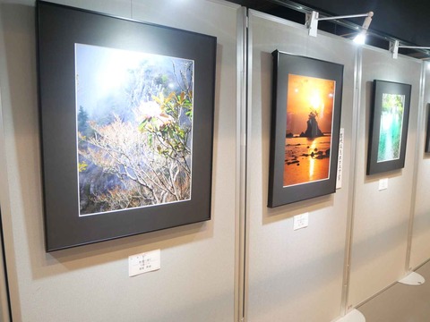 20240921高槻市美術展 (52)