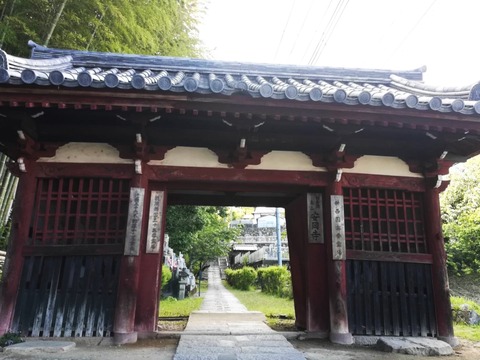 20240603安岡寺アジサイ (14)
