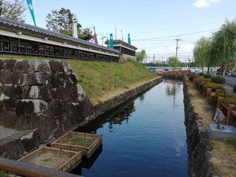 20200823nagaoka (7)