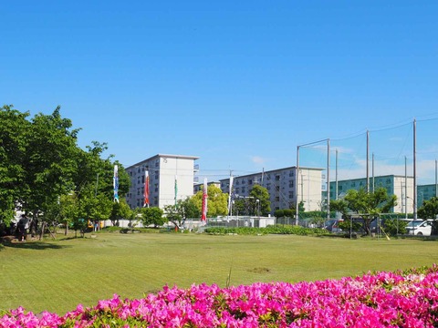 牧田町こいのぼり (3)