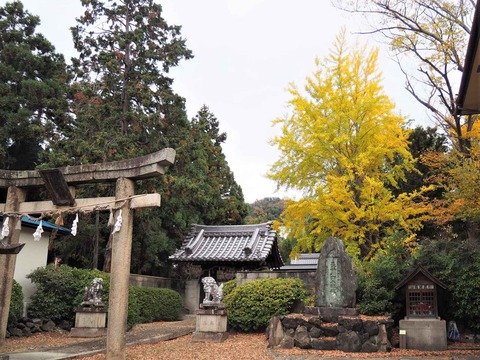 20221120畑山神社 (1)