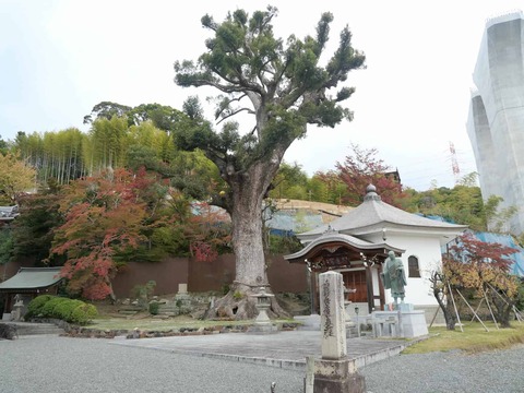 20241124一乗寺 (5)
