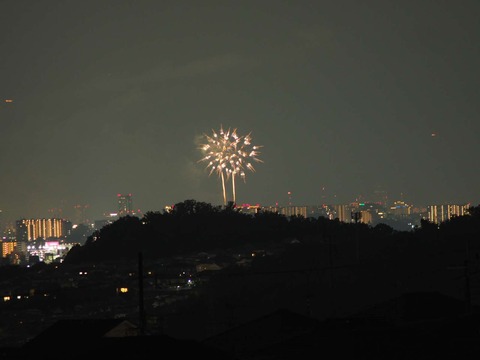 20220827なにわ淀川花火 (33)