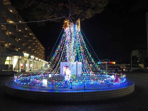 20231115富田団地イルミ (5)