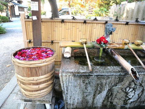 20241119野見神社 (5)