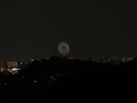 20220827なにわ淀川花火 (136)