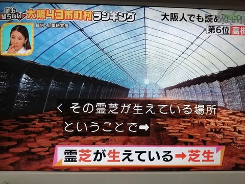 202409テレビ関連 (34)