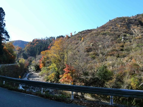 20241207府道6号紅葉 (38)