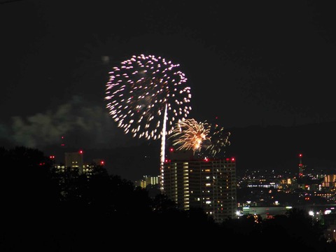 20230917水都くらわんか (1)
