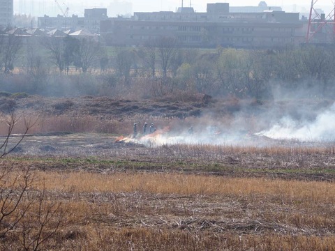20230312ヨシ焼き (16)