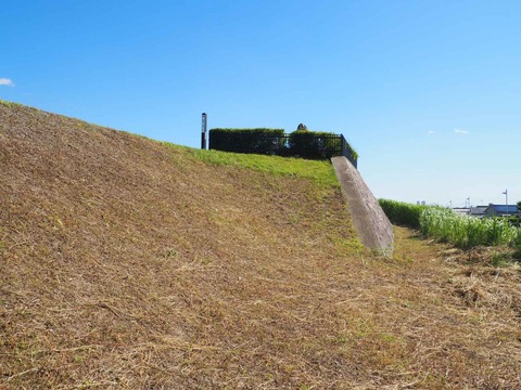 20230603淀川堤防草刈り (5)