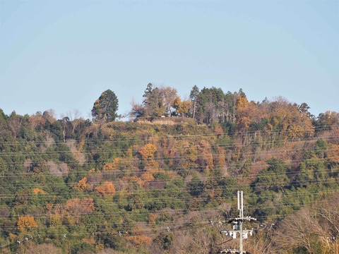 20221210摂津峡方面 (5)