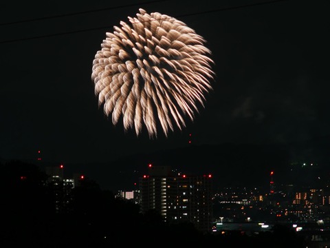 20260920くらわんか花火 (48)