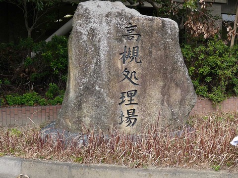 m_mirai1