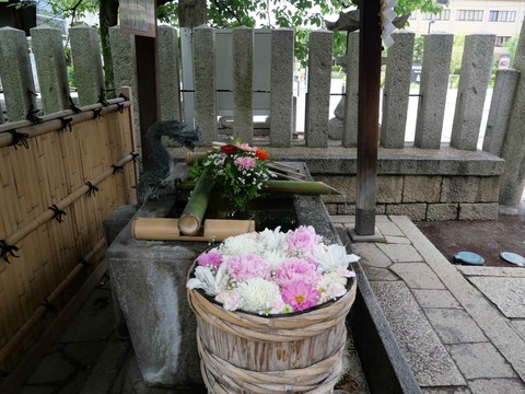 20240609野見神社 (3)