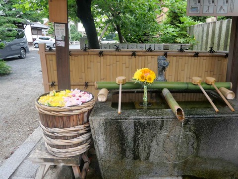 20240630野見神社 (3)