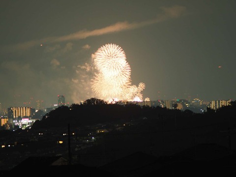 20220827なにわ淀川花火 (48)