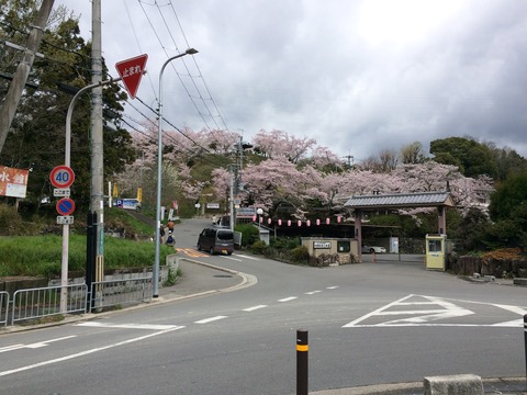 settukyo_park4