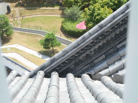 20240818園田城 (76)