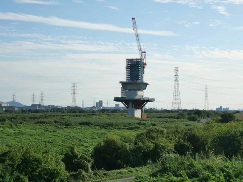 20250927新名神国道堤防 (39)