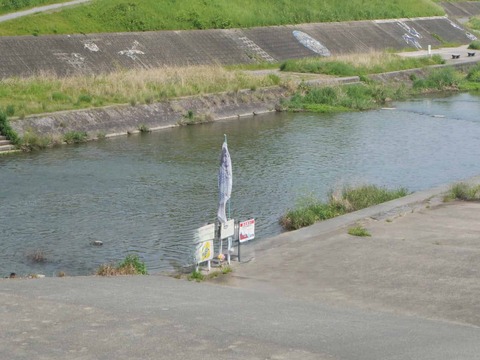20260502芥川鉄橋こいのぼり (1)