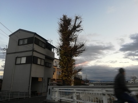 20201220akt_ityo2