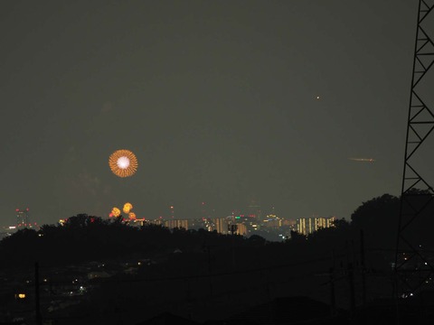 20220827なにわ淀川花火 (9)